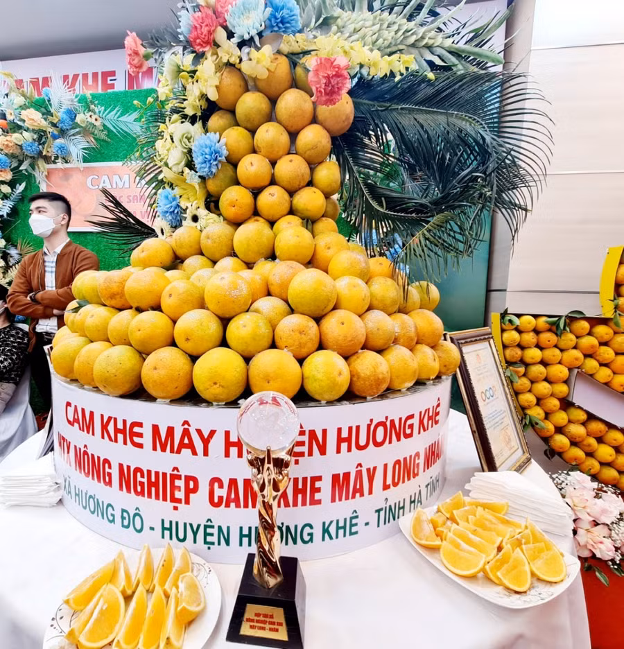 Cam Khe mây - Hương Khê.