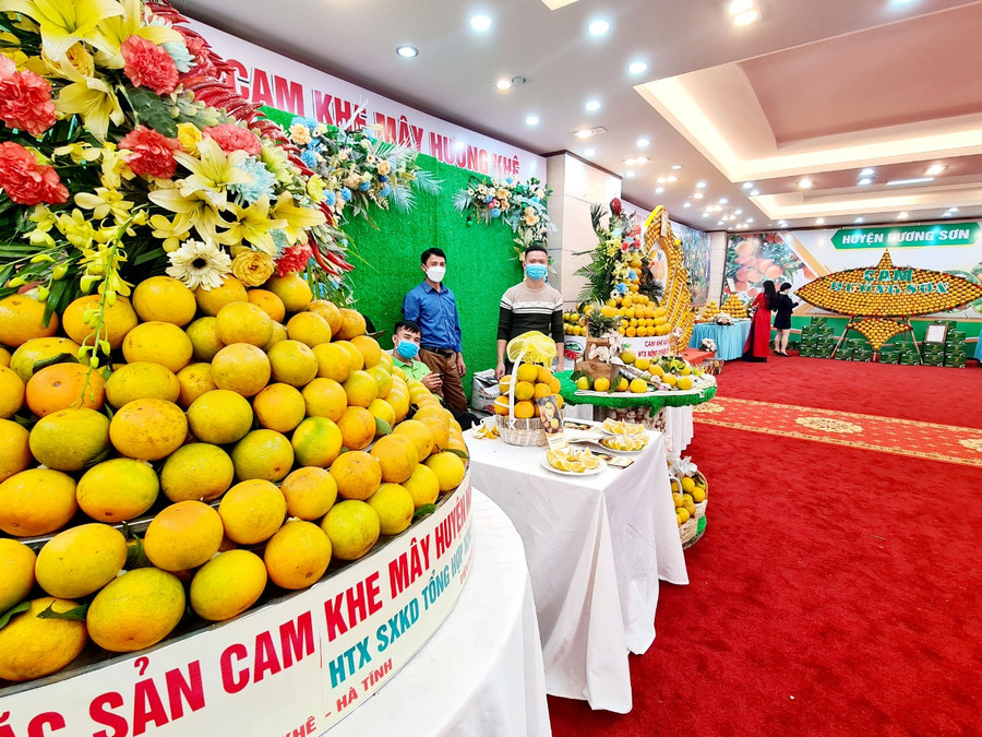 Các gian hàng cam Thượng Lộc, cam Khe Mây, Cam Hương Sơn, Cam Vũ Quang... Các gian hàng cam Thượng Lộc, cam Khe Mây, Cam Hương Sơn, Cam Vũ Quang...