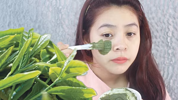 Thảo dược chống nắng cho da Thảo dược chống nắng cho da