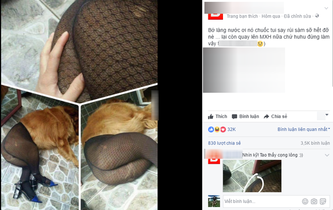 Đừng nhìn nhầm, không phải bạn đang chứng kiến một vụ sàm sỡ vòng 3 công khai đâu! - Ảnh 2. Đừng nhìn nhầm, không phải bạn đang chứng kiến một vụ sàm sỡ vòng 3 công khai đâu! - Ảnh 2.