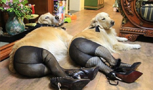 Đừng nhìn nhầm, không phải bạn đang chứng kiến một vụ sàm sỡ vòng 3 công khai đâu! - Ảnh 10. Đừng nhìn nhầm, không phải bạn đang chứng kiến một vụ sàm sỡ vòng 3 công khai đâu! - Ảnh 10.