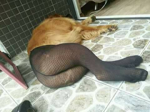 Đừng nhìn nhầm, không phải bạn đang chứng kiến một vụ sàm sỡ vòng 3 công khai đâu! - Ảnh 4. Đừng nhìn nhầm, không phải bạn đang chứng kiến một vụ sàm sỡ vòng 3 công khai đâu! - Ảnh 4.
