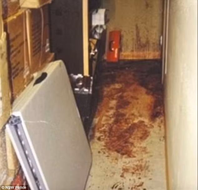  Vệt máu dẫn vào trong bếp.