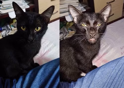 Không phải cứ sáng là tốt. Không phải cứ sáng là tốt.