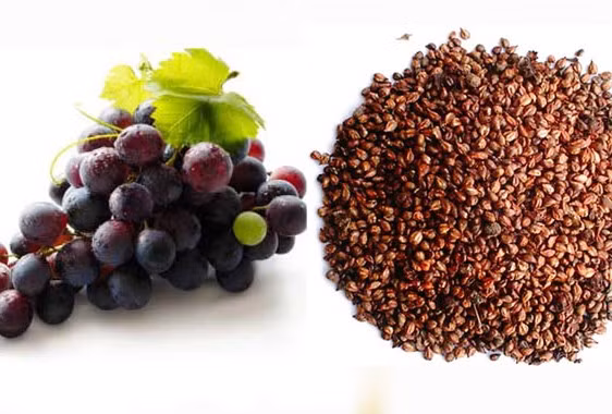 hat-nho-co-loi-ich-nhu-the-nao-voi-suc-khoe-1