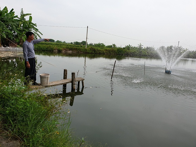 Ông Phạm Xuân Bật cho biết, gần 1 mẫu đầm nuôi thủy sản của gia đình được thầu khoán từ Ban vận động làng có nguy cơ thu hồi