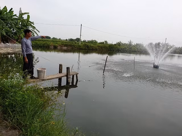 Ông Phạm Xuân Bật cho biết, gần 1 mẫu đầm nuôi thủy sản của gia đình được thầu khoán từ Ban vận động làng có nguy cơ thu hồi Ông Phạm Xuân Bật cho biết, gần 1 mẫu đầm nuôi thủy sản của gia đình được thầu khoán từ Ban vận động làng có nguy cơ thu hồi