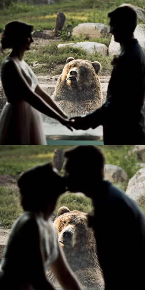 Buồn của gấu. Buồn của gấu.