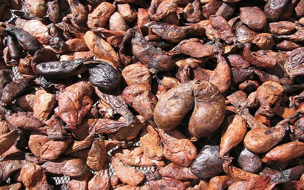 che-nuoc-hoa che-nuoc-hoa