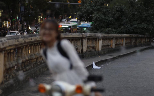 Xe cộ phía sau rõ nét và tấp nập quá.