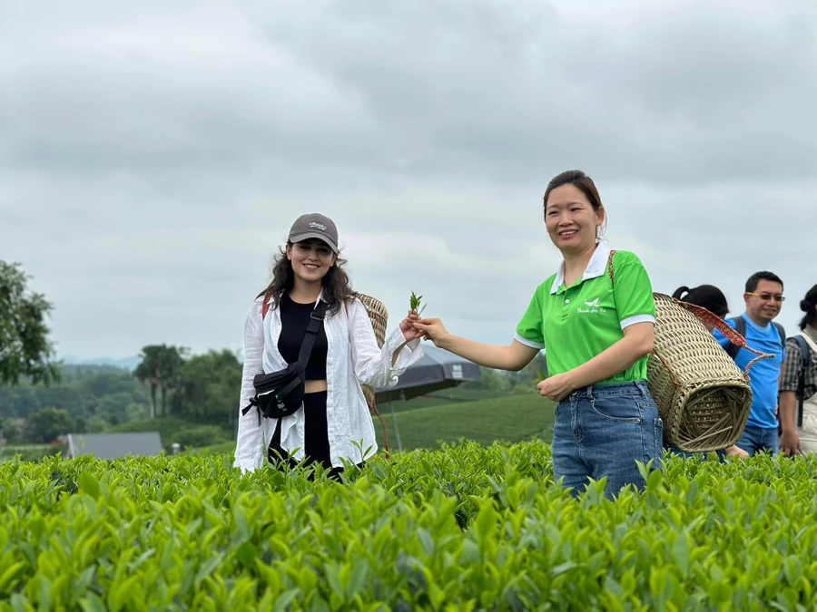 Phát triển hợp tác xã giúp giảm nghèo hiệu quả 