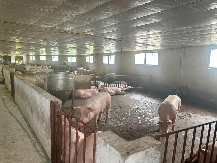 Thông qua nguồn vốn vay ưu đãi đã góp phần giải quyết việc làm cho nhiều lao động, tạo đòn bẩy hỗ trợ người dân mở rộng sản xuất, kinh doanh, phát triển kinh tế, xoá đói giảm nghèo. Thông qua nguồn vốn vay ưu đãi đã góp phần giải quyết việc làm cho nhiều lao động, tạo đòn bẩy hỗ trợ người dân mở rộng sản xuất, kinh doanh, phát triển kinh tế, xoá đói giảm nghèo.