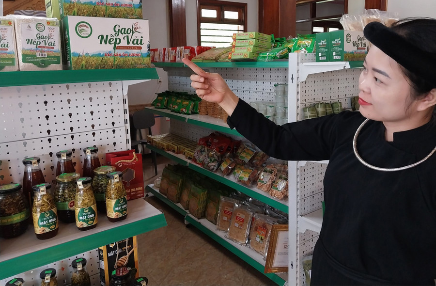 Phát triển HTX giúp người dân tăng thu nhập, góp phần vào công tác giảm nghèo bền vững.