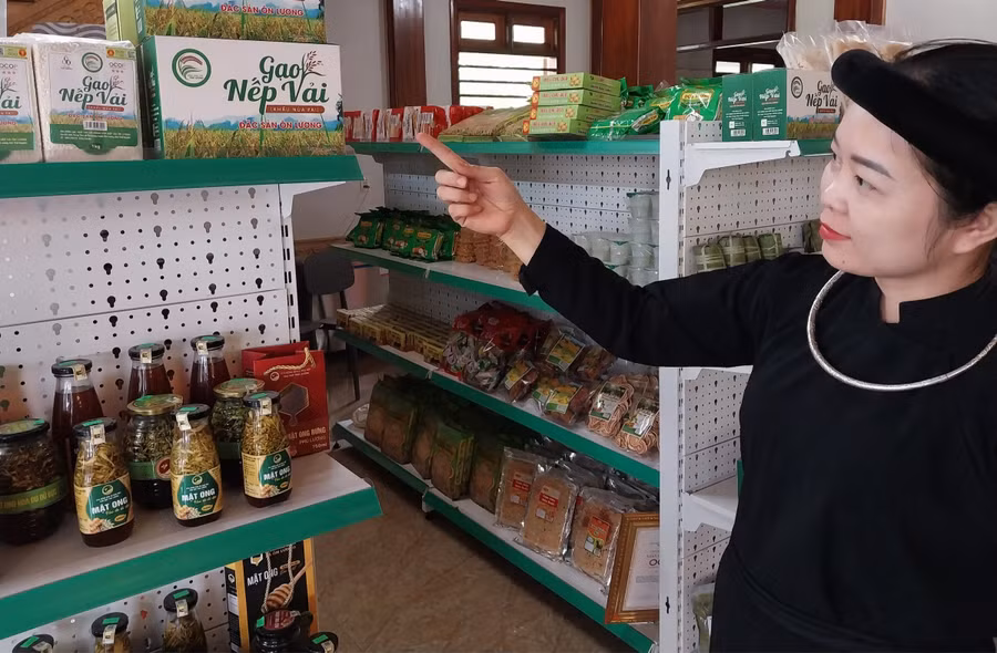 Phát triển HTX giúp người dân tăng thu nhập, góp phần vào công tác giảm nghèo bền vững.