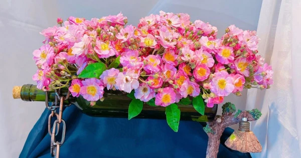 Tử vi 12 cung hoàng đạo 29/1: Cự Giải tình yêu ngọt ngào