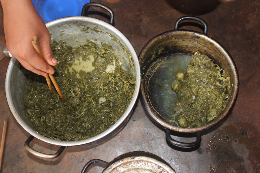 Nhà nghèo nên bữa cơm của gia đình chỉ toàn là lá mì.