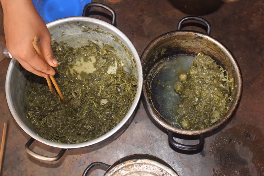 Nhà nghèo nên bữa cơm của gia đình chỉ toàn là lá mì.