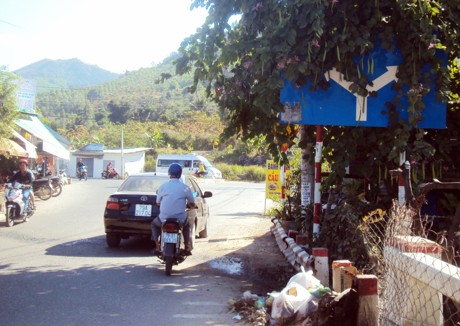 Tấm biển chỉ dẫn giao thông gần như khuất bóng phía sau lùm cây