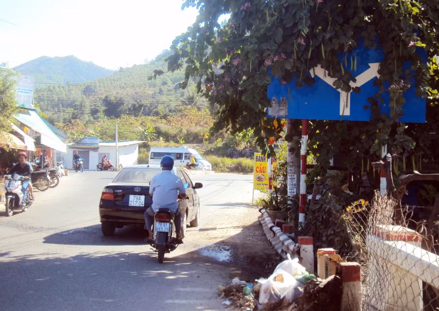 Tấm biển chỉ dẫn giao thông gần như khuất bóng phía sau lùm cây