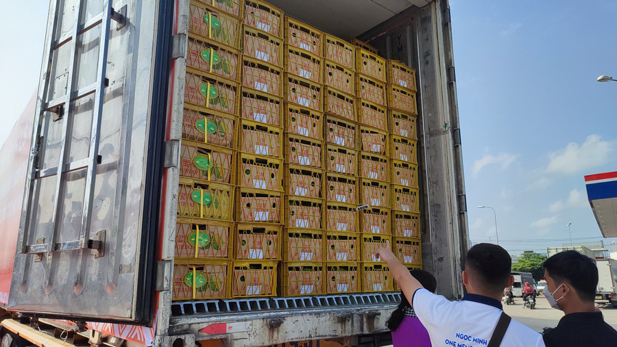 Lô sầu riêng Cần Thơ đầu tiên xuất khẩu sang Trung Quốc.