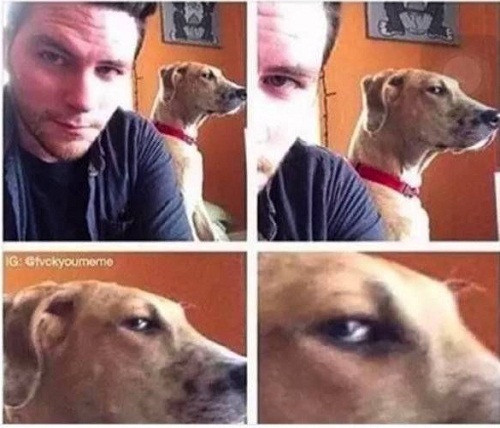 Ánh mắt nghi ngờ. 10-anh-hai-hot-nhat-facebook-trong-ngay-8