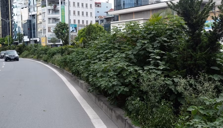 Keyword đầu tiên có dấu