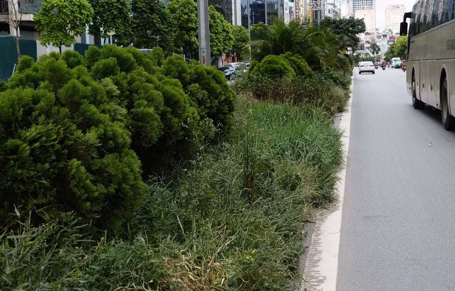 Keyword đầu tiên có dấu