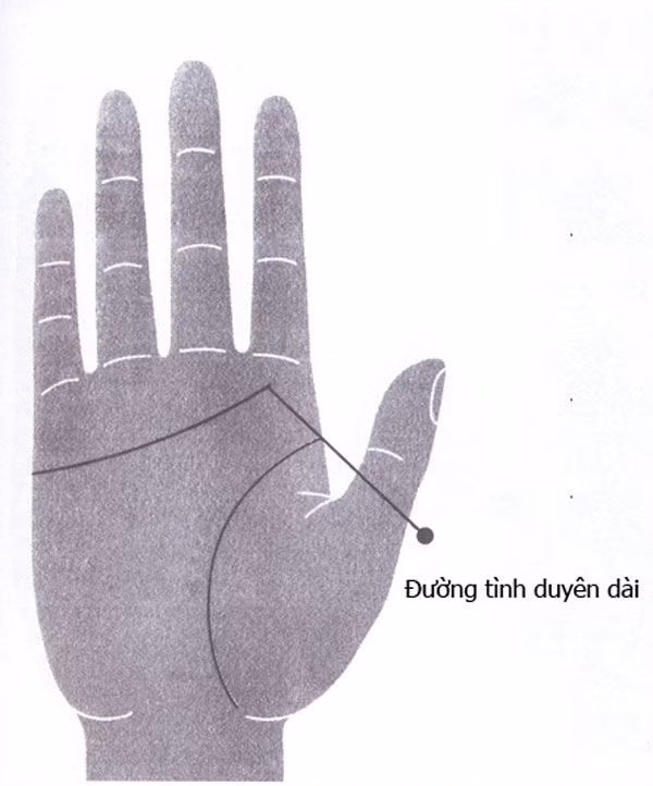 Đường tình duyên dài, rõ nét thường suôn sẻ trong tình yêu.