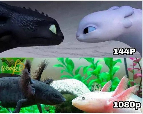 Đâu phải hình ảnh chất lượng cao là đẹp.