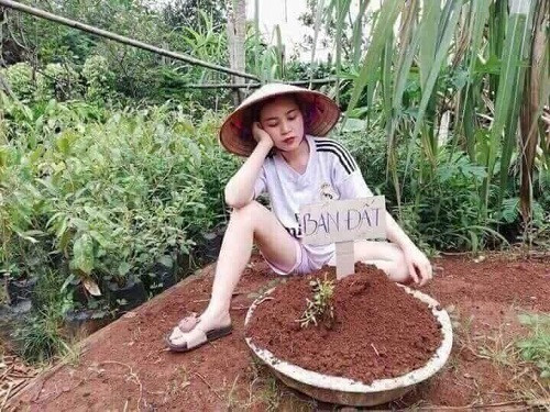 Nghe bảo bán đất là cách làm giàu nhanh nhất.