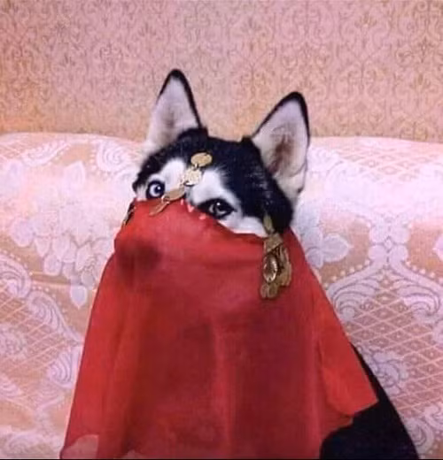 Cô dâu 8000 tuổi.