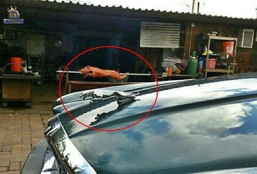 Một dáng nằm, hai số phận.