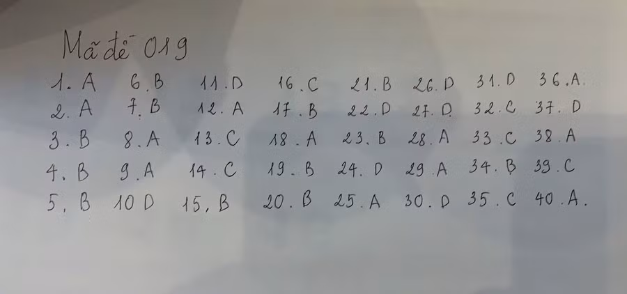 Đáp án mã đề 019 môn Tiếng Anh.