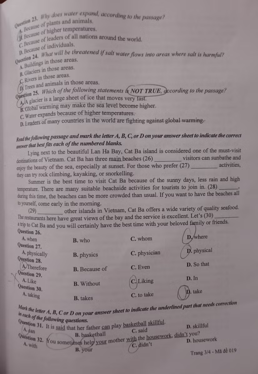 Thi vào lớp 10 Hà Nội: Dự báo có nhiều điểm cao môn Tiếng Anh ảnh 3