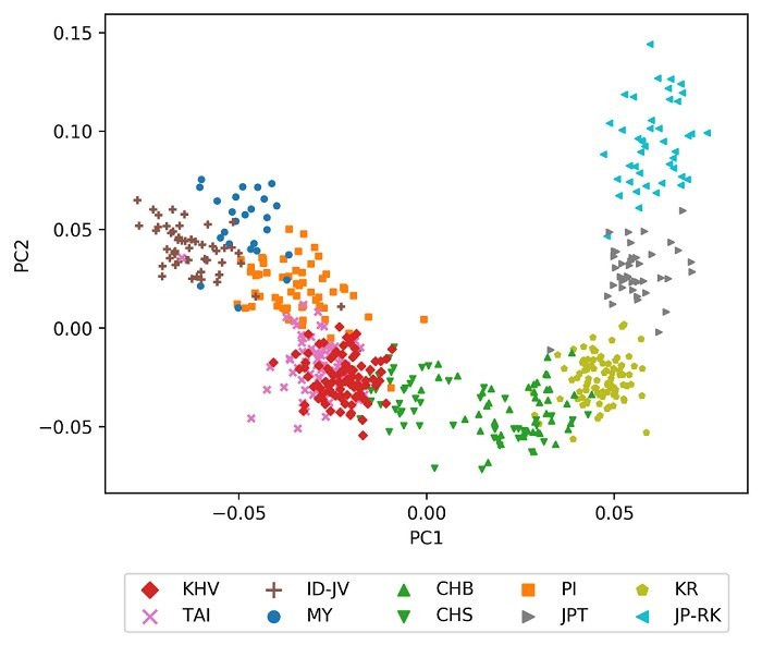 Phân tích thành phần chính biểu diễn mối quan hệ giữa các các thể người Việt Nam (KHV), người Thái Lan (TAI), người Indonesia (ID-JV), người Malaysia (MY), người Philipines (PI), người Hán Trung Quốc ở miền nam (CHS), người Hán Trung Quốc ở miền bắc (CHB), người Nhật Bản (JPT) và người Ryukyuan Nhật Bản (JP-RK). Vinmec công bố nghiên cứu lớn nhất về bộ gen của người Việt ảnh 1