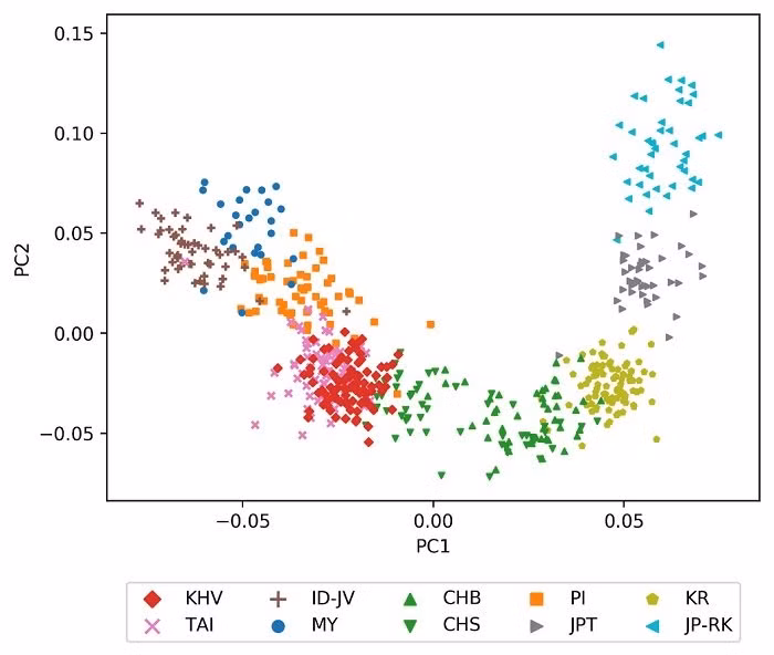 Vinmec công bố nghiên cứu lớn nhất về bộ gen của người Việt ảnh 1