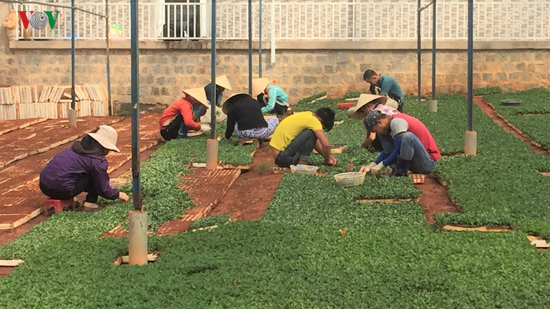 gia dien tang cao khien cac nha vuon cong nghe cao lam dong "meo mat" hinh 2