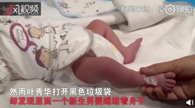 Thấy cô gái vứt xác con chó, người dọn rác mở ra phát hiện sự thật kinh hoàng ảnh 1 thay co gai vut xac con cho, nguoi don rac mo ra phat hien su that bat ngo - 1