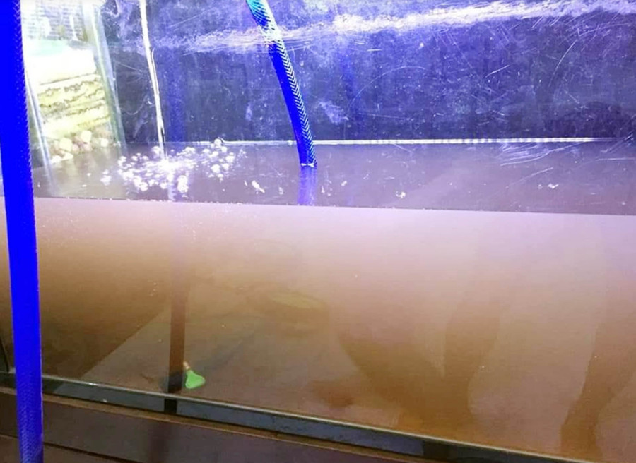 Chất lượng nước sinh hoạt được phản ánh là bị vẩn đục sau khi Dawaco tạm dừng cung cấp nước để đấu nối đường ống nâng công suất Nhà máy nước Cầu Đỏ Chất lượng nước sinh hoạt được phản ánh là bị vẩn đục sau khi Dawaco tạm dừng cung cấp nước để đấu nối đường ống nâng công suất Nhà máy nước Cầu Đỏ