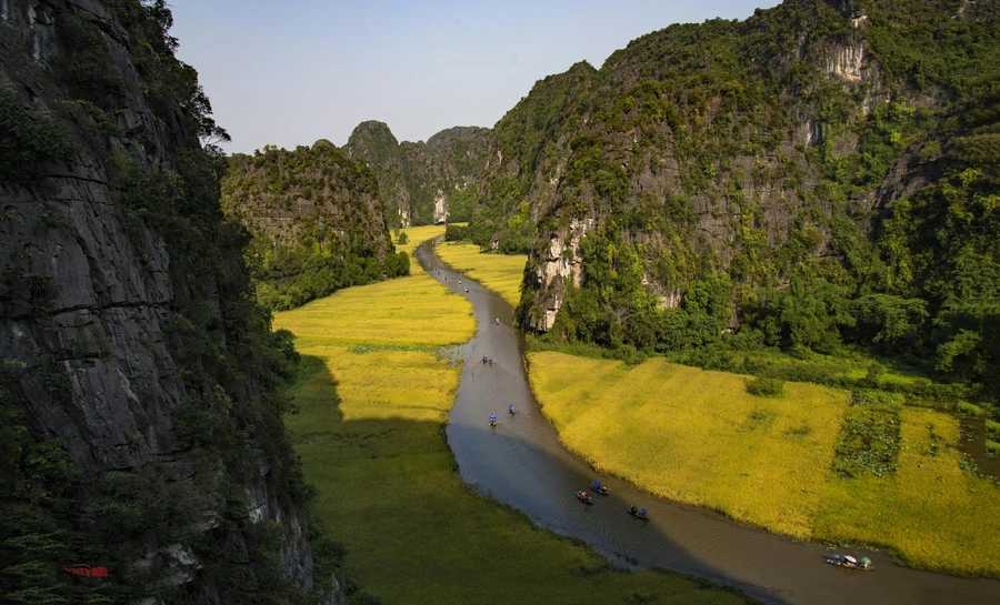 Sắc vàng Tam Cốc (Ảnh Minh Nhật).