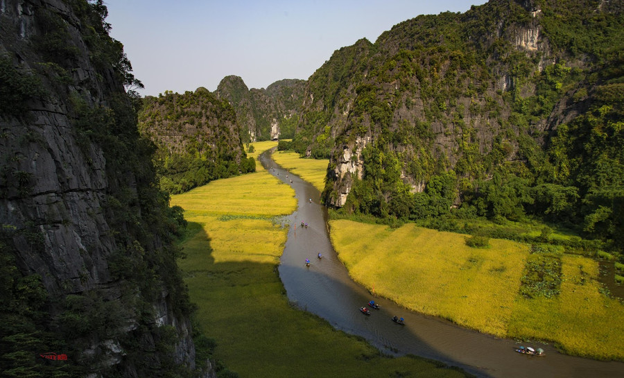 Sắc vàng Tam Cốc (Ảnh Minh Nhật).