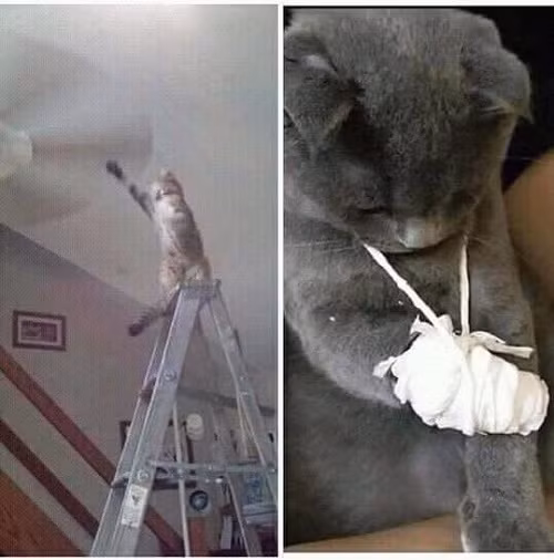 Cái giá của lỡ lầm. Cái giá của lỡ lầm.