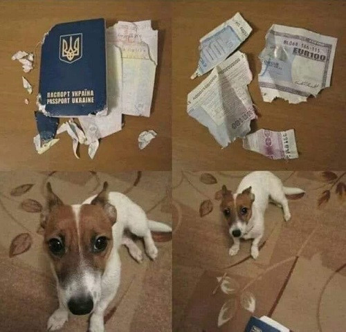 Gương mặt ngây thơ vô số tội.