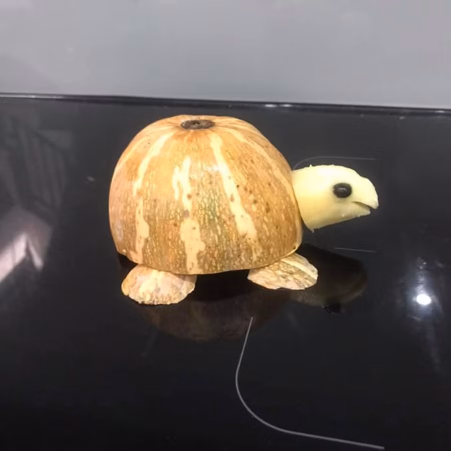 Hậu quả của việc quá lâu không được giao tiếp với thế giới loài người.