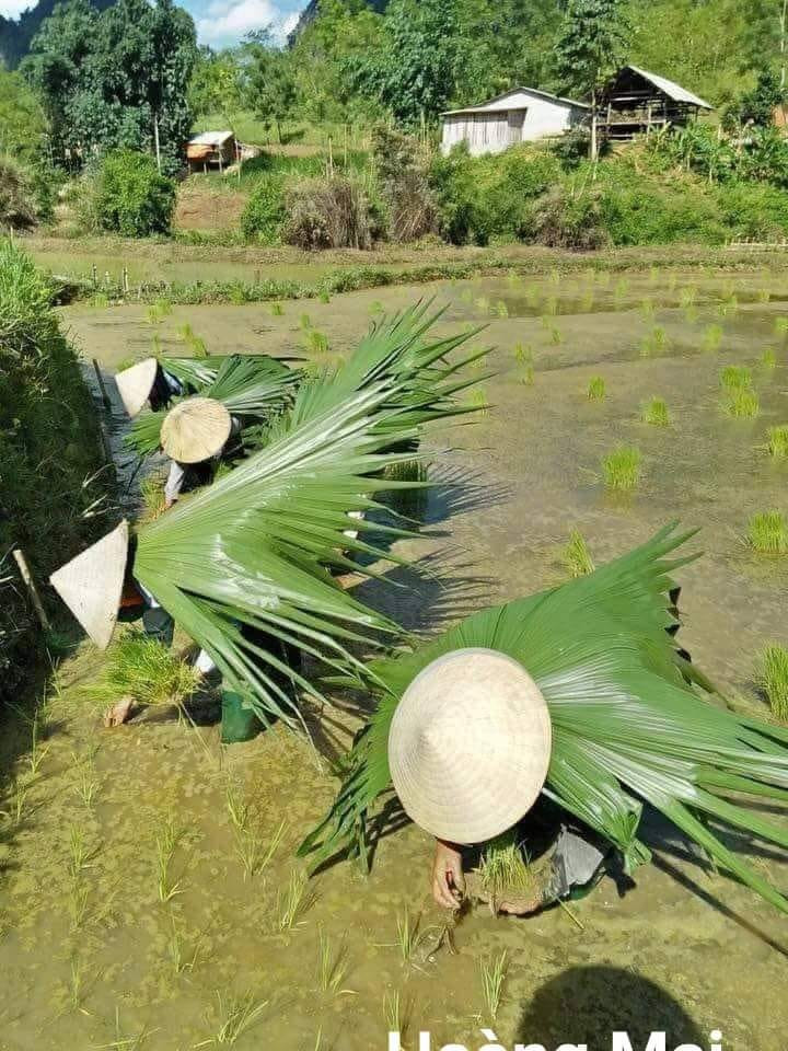 Thích nghi thôi mà. Thích nghi thôi mà.