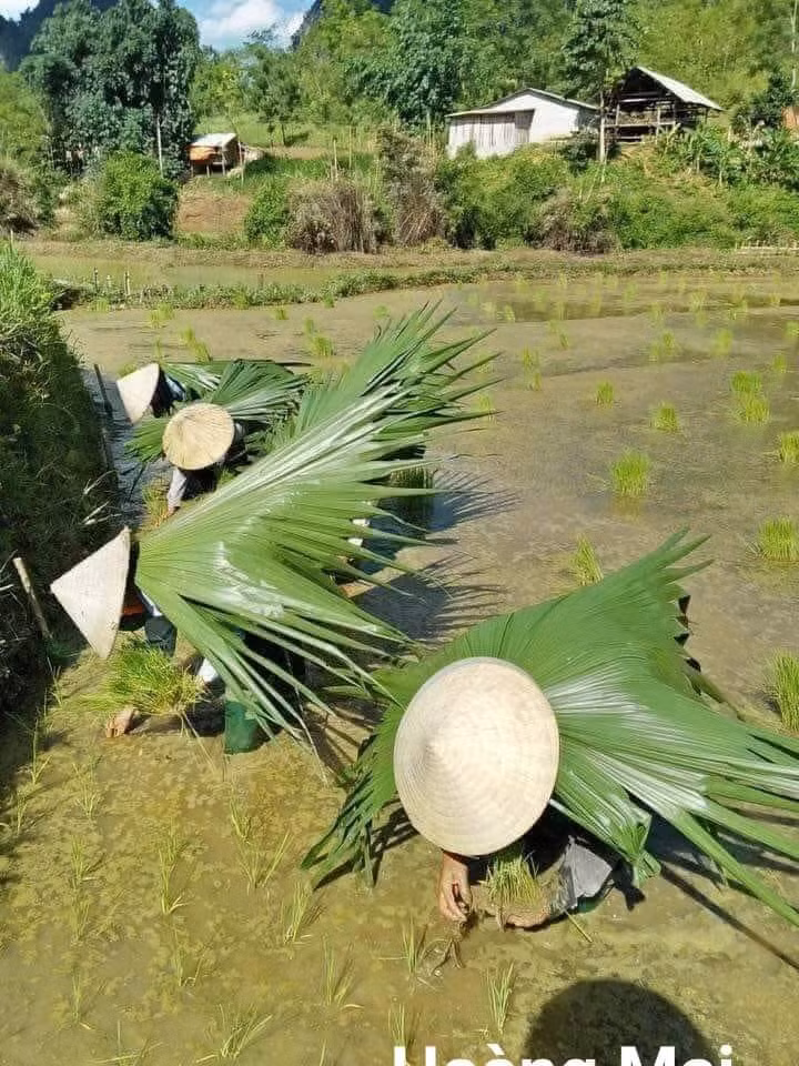 Thích nghi thôi mà.