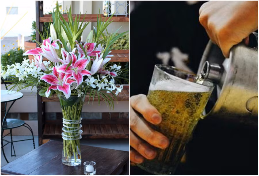 Đổ bia vào hoa tươi lâu hơn