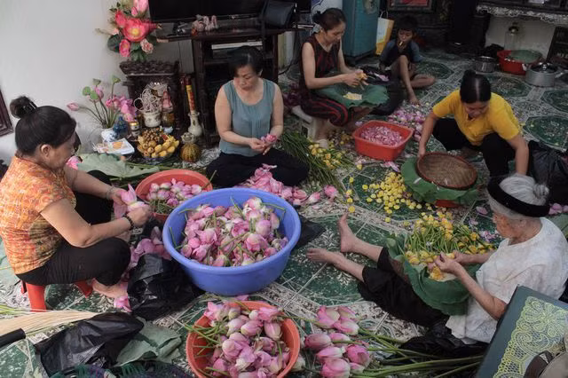 Thiên cổ đệ nhất trà sen của cụ bà U100 Hà Nội, giá 7 triệu đồng/kg-1