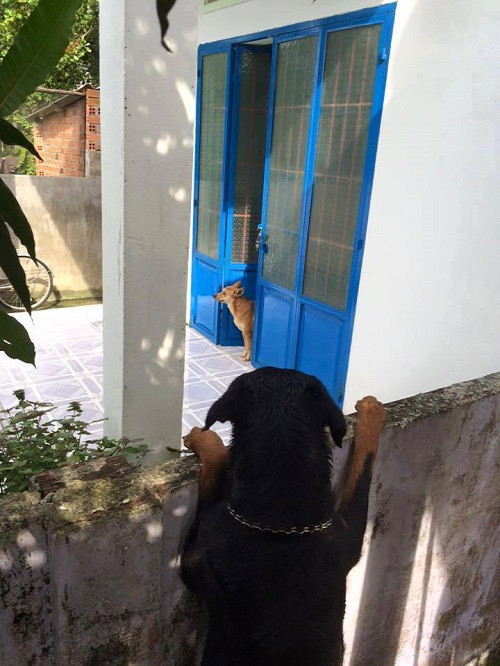 10-anh-hai-hot-nhat-facebook-trong-ngay-3