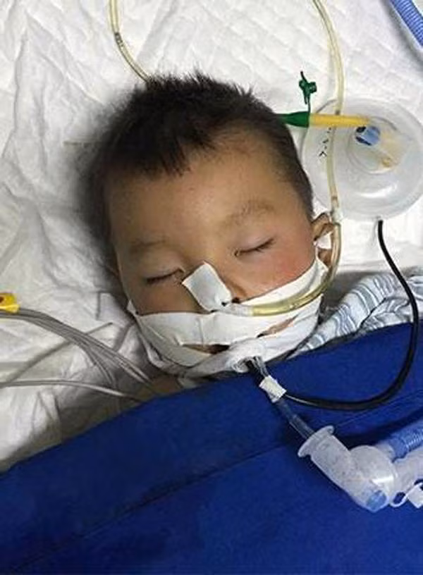 Bé trai đột tử vì bị mẹ đánh vào đầu ảnh 1 Bé trai đột tử vì mẹ đánh vào đầu: 5 bộ phận cơ thể cha mẹ tránh gây tổn thương - 1